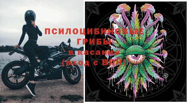 дживик Баксан