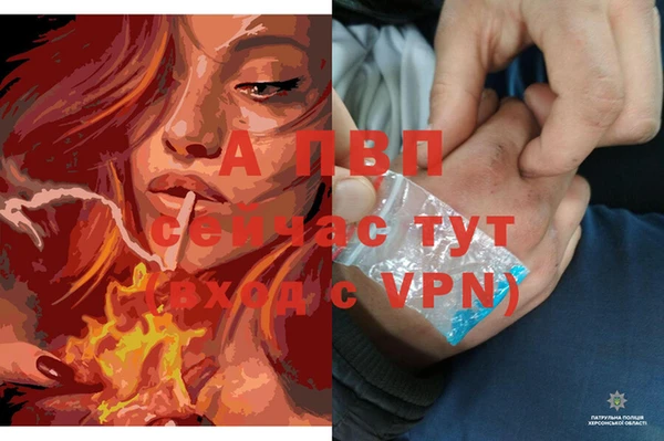 PSILOCYBIN Балабаново