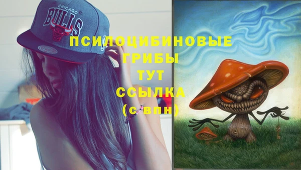 дживик Баксан