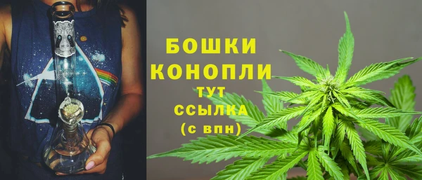 PSILOCYBIN Балабаново
